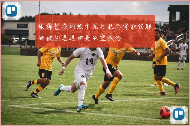张稀哲在训练中无对抗急停扭伤腿部被紧急送回更衣室救治