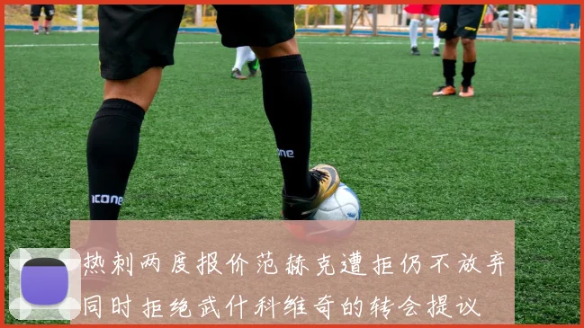 热刺两度报价范赫克遭拒仍不放弃同时拒绝武什科维奇的转会提议